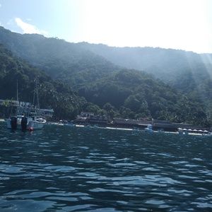 Meet your Posher, Martha